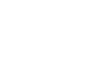 TAW-Logo-weiss.png